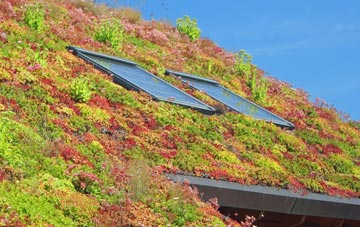 Empshott living roof systems
